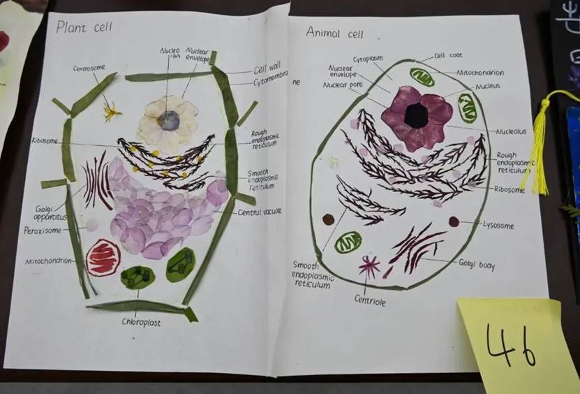 图示 AI 生成的内容可能不正确。
